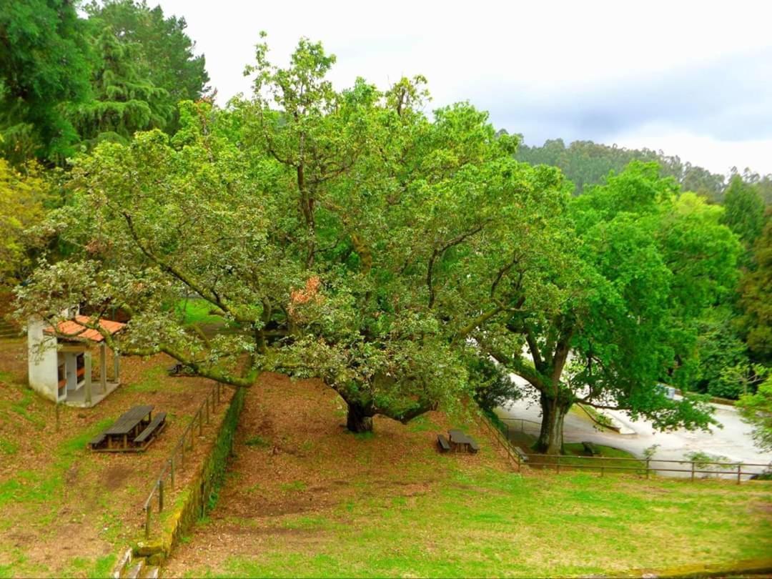 Casa Do Acor Villa Aldeia das Dez Dış mekan fotoğraf