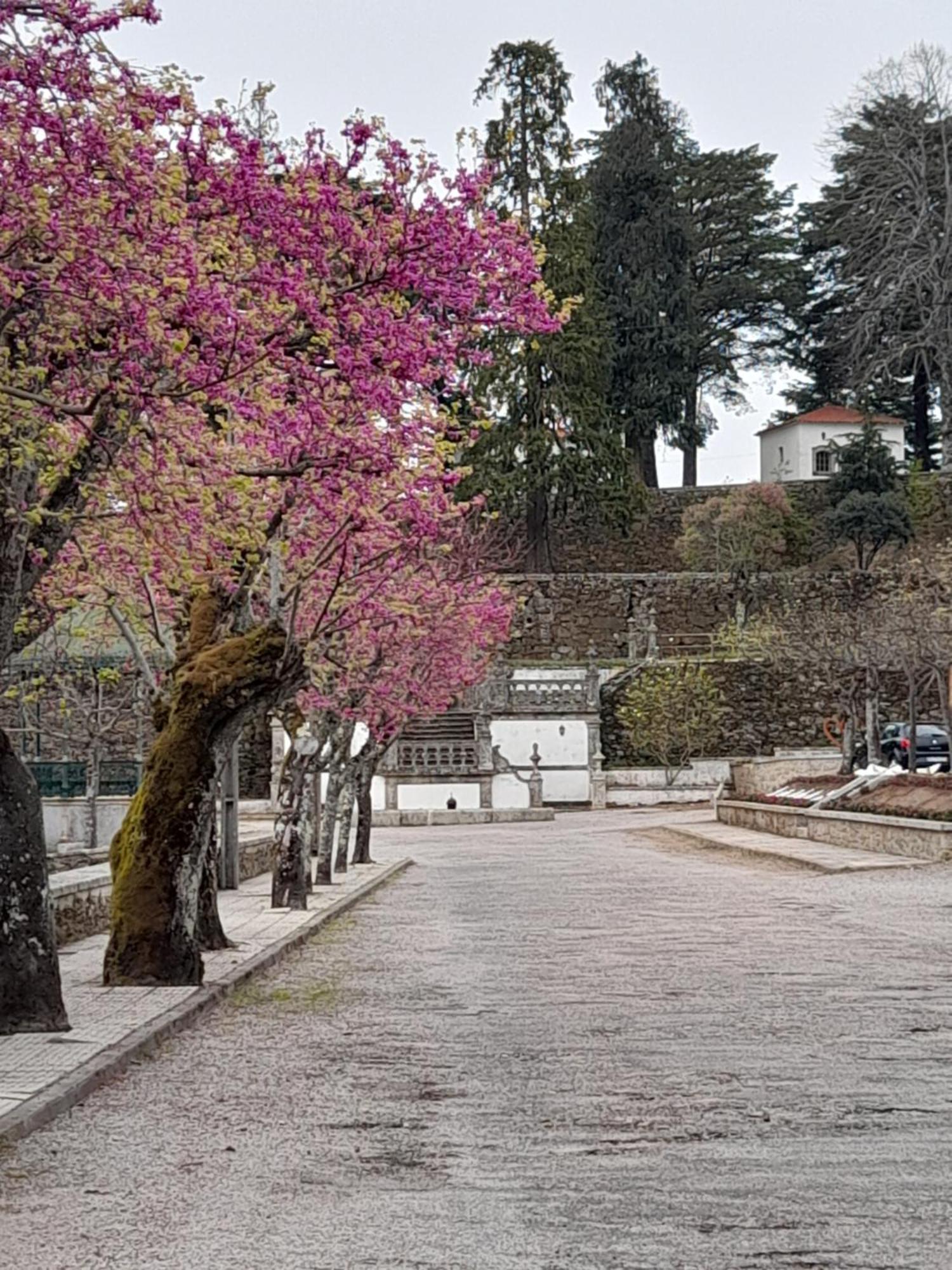 Casa Do Acor Villa Aldeia das Dez Dış mekan fotoğraf